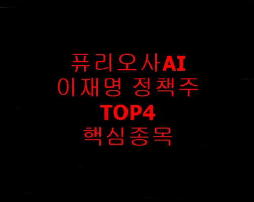 퓨리오사AI이재명정책주
